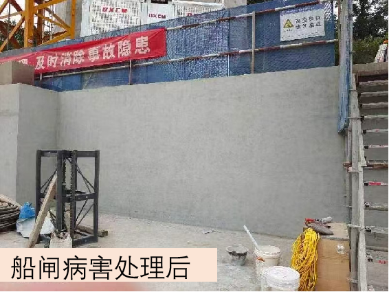 船闸病害处理后.png